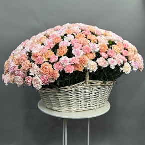 Композиция в корзине из 251 диантуса микс в Ликино-Дулёво