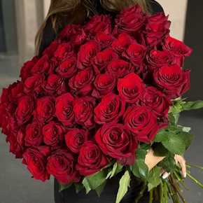 Букет 51 роза Эквадор Эксплорер (60 см) в Ликино-Дулёво
