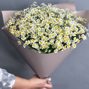 Букет из 17 ромашек танацетум в Ликино-Дулёво