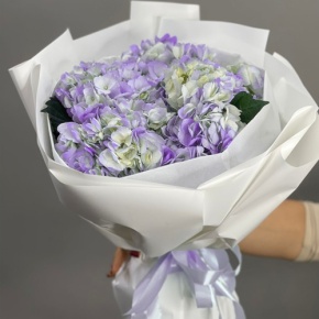 Букет из 5 фиолетовых гортензий в Ликино-Дулёво