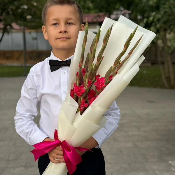 Букет на 1 сентября из 7 малиновых гладиолусов в Ликино-Дулёво