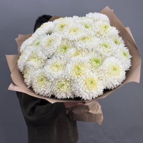 Букет из 27 хризантем Магнум в Ликино-Дулёво