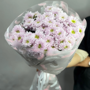 Букет "Нежный комплимент" из 9 кустовых хризантем в Ликино-Дулёво