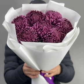 Букет "Винная легенда" из 7 хризантем Бигоуди в Ликино-Дулёво