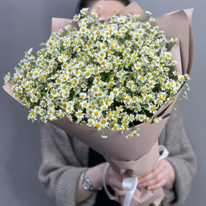 Букет из 17 полевых ромашек в Ликино-Дулёво
