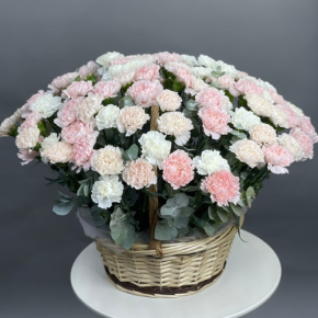 Композиция в корзине из 101 диантуса микс в Ликино-Дулёво