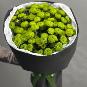 Стильный букет "Лайм" из 15 хризантем сантини в Ликино-Дулёво