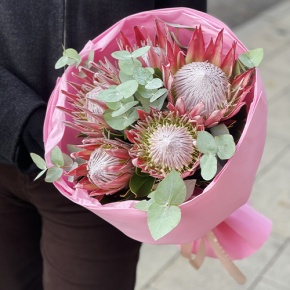 Букет из 5 протей и эвкалипта в Ликино-Дулёво