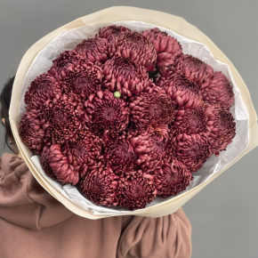 Букет 21 шоколадной хризантемы Бигоуди в Ликино-Дулёво