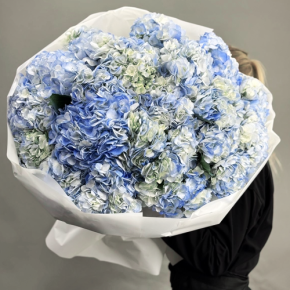 Букет из 23 синих гортензий в Ликино-Дулёво