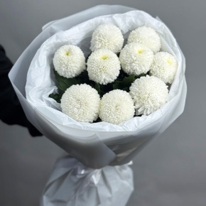 Букет из 9 белых хризантем Момоко в Ликино-Дулёво