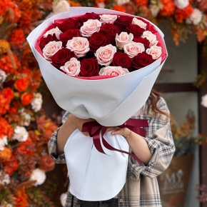 Букет "Сокровенное желание" из 25 пудровых и красных роз Эквадор (60 см) в Ликино-Дулёво