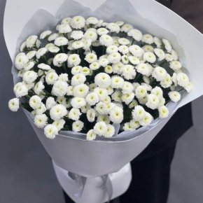 Букет "Белая дымка" из 25 хризантем сантини в Ликино-Дулёво