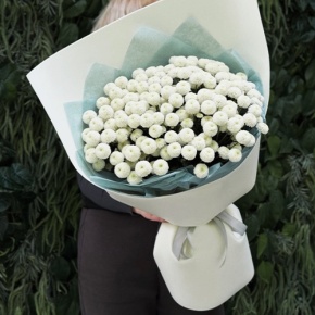 Букет из 25 хризантем Ньютон в Ликино-Дулёво