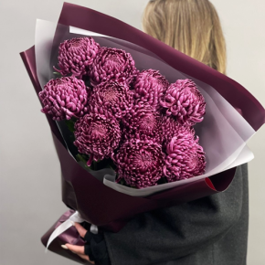 Букет "Изобилие" из 11 винных хризантем Бигоуди в Ликино-Дулёво