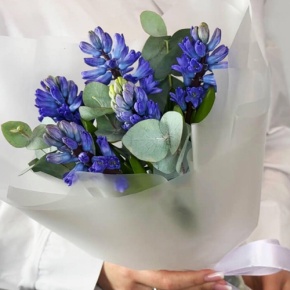 Букет "Мини" из 5 ароматных гиацинтов и эвкалипта в Ликино-Дулёво