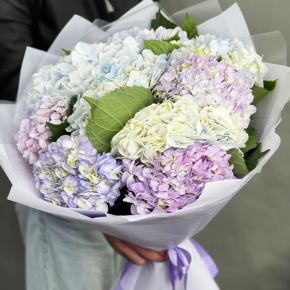 Букет из 9 Голландских гортензий микс в Ликино-Дулёво