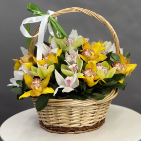 Композиция в корзине из 25 орхидей микс в Ликино-Дулёво
