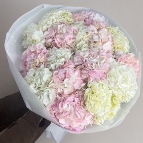 Букет из 17 нежных гортензий в Ликино-Дулёво