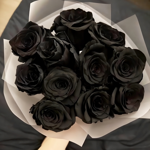 Букет "Черная королева" из 11 черных роз Эквадор (60 см) в Ликино-Дулёво