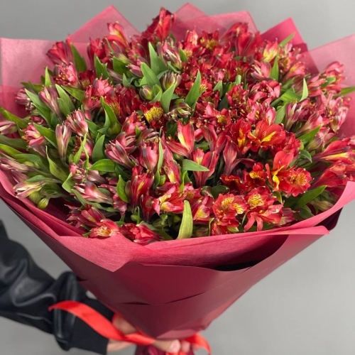 Монобукет из 25 красных альстромерий в Ликино-Дулёво