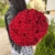 Букет 51 красной розы 50 см в Ликино-Дулёво Букет 51 красной розы 50 см в Ликино-Дулёво