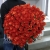 Букет 101 коралловая роза (60 см) в Ликино-Дулёво Букет 101 коралловая роза (60 см) в Ликино-Дулёво
