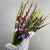 Букет из 25 гладиолусов микс в Ликино-Дулёво