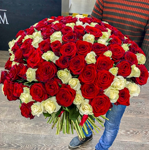 Букет 151 роза красный и белый микс (60 см) в Ликино-Дулёво