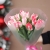 Букет "Фламинго" из 11 пионовидных тюльпанов в Ликино-Дулёво Букет "Фламинго" из 11 пионовидных тюльпанов в Ликино-Дулёво