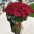 Букет из 101 красной розы (90 см) в Ликино-Дулёво Букет из 101 красной розы (90 см) в Ликино-Дулёво