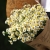 Букет из 9 ромашек танацетум в Ликино-Дулёво Букет из 9 ромашек танацетум в Ликино-Дулёво