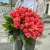 Букет 51 роза коралл (60 см) в Ликино-Дулёво Букет 51 роза коралл (60 см) в Ликино-Дулёво