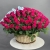 Композиция в корзине из 151 малиновой розы в Ликино-Дулёво Композиция в корзине из 151 малиновой розы в Ликино-Дулёво