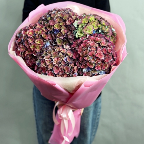 Букет из 5 космических Голландских гортензий в Ликино-Дулёво