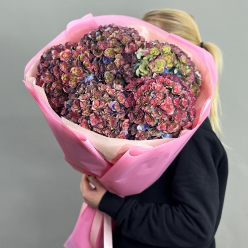 Букет из 5 космических Голландских гортензий в Ликино-Дулёво